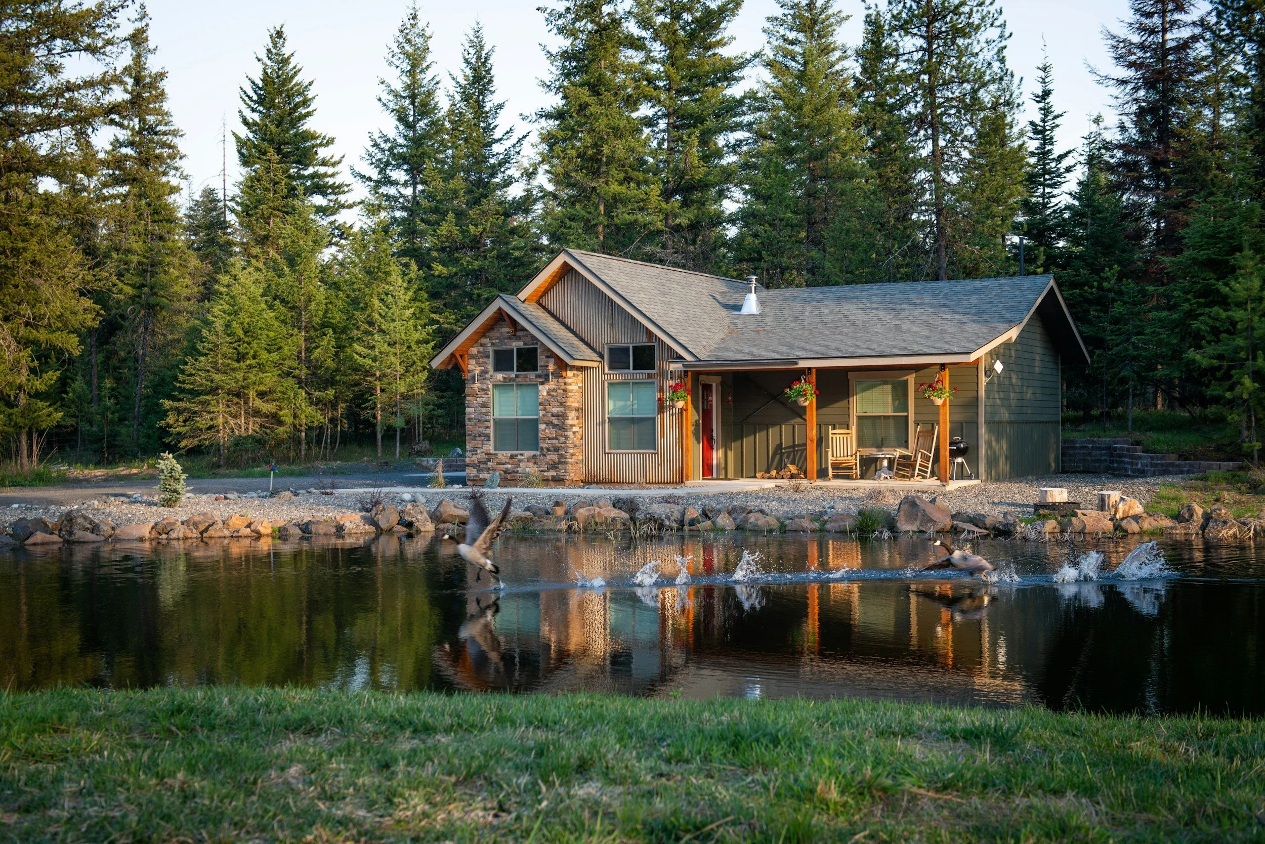 A house located at the edge of a lake, surrounded by tall pine trees, with birds flying over the water in the foreground.