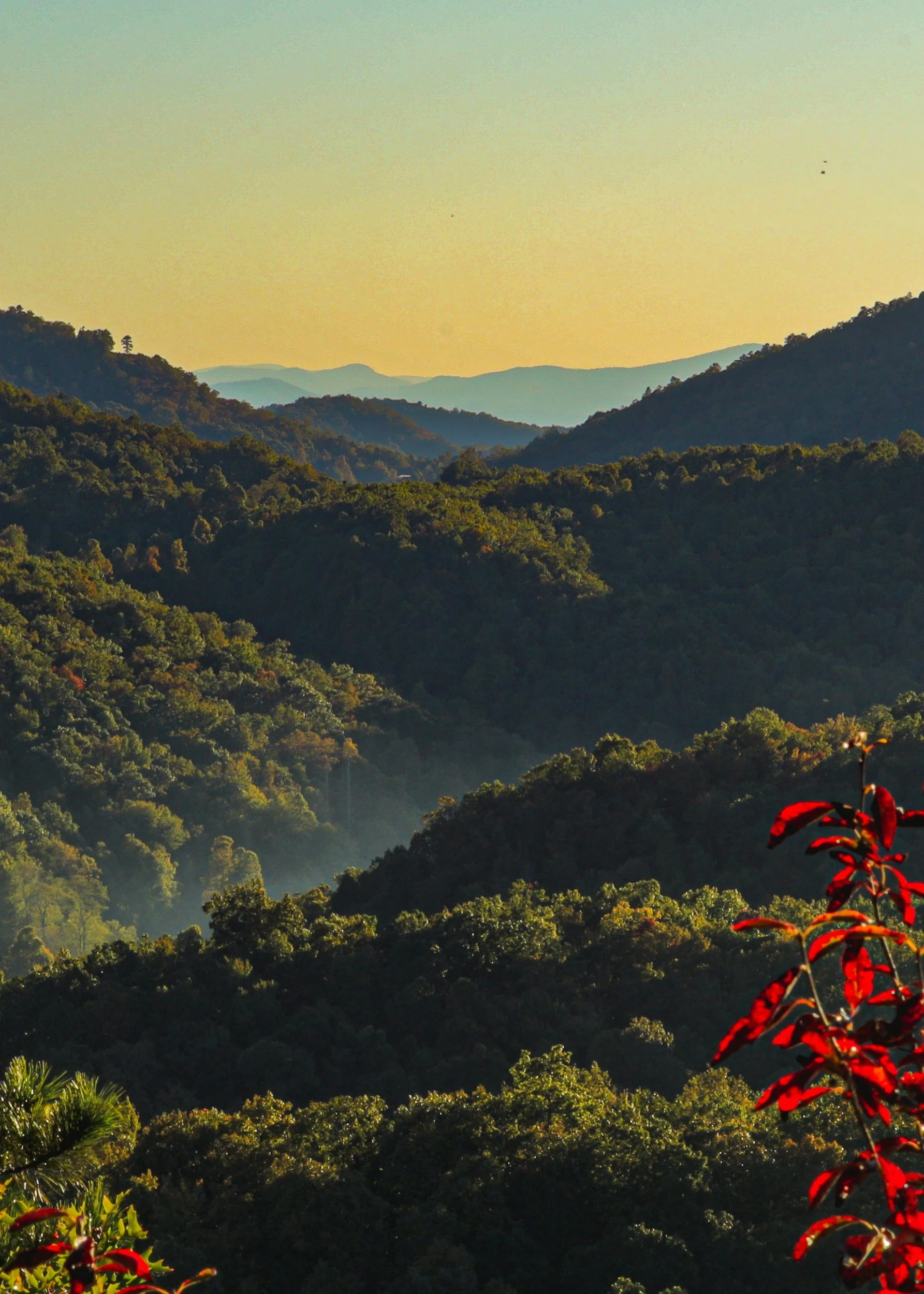 A landscape near Asheville, North Carolina with views of multiple mountain ridges covered in trees, with a clear sky at sunset or sunrise.