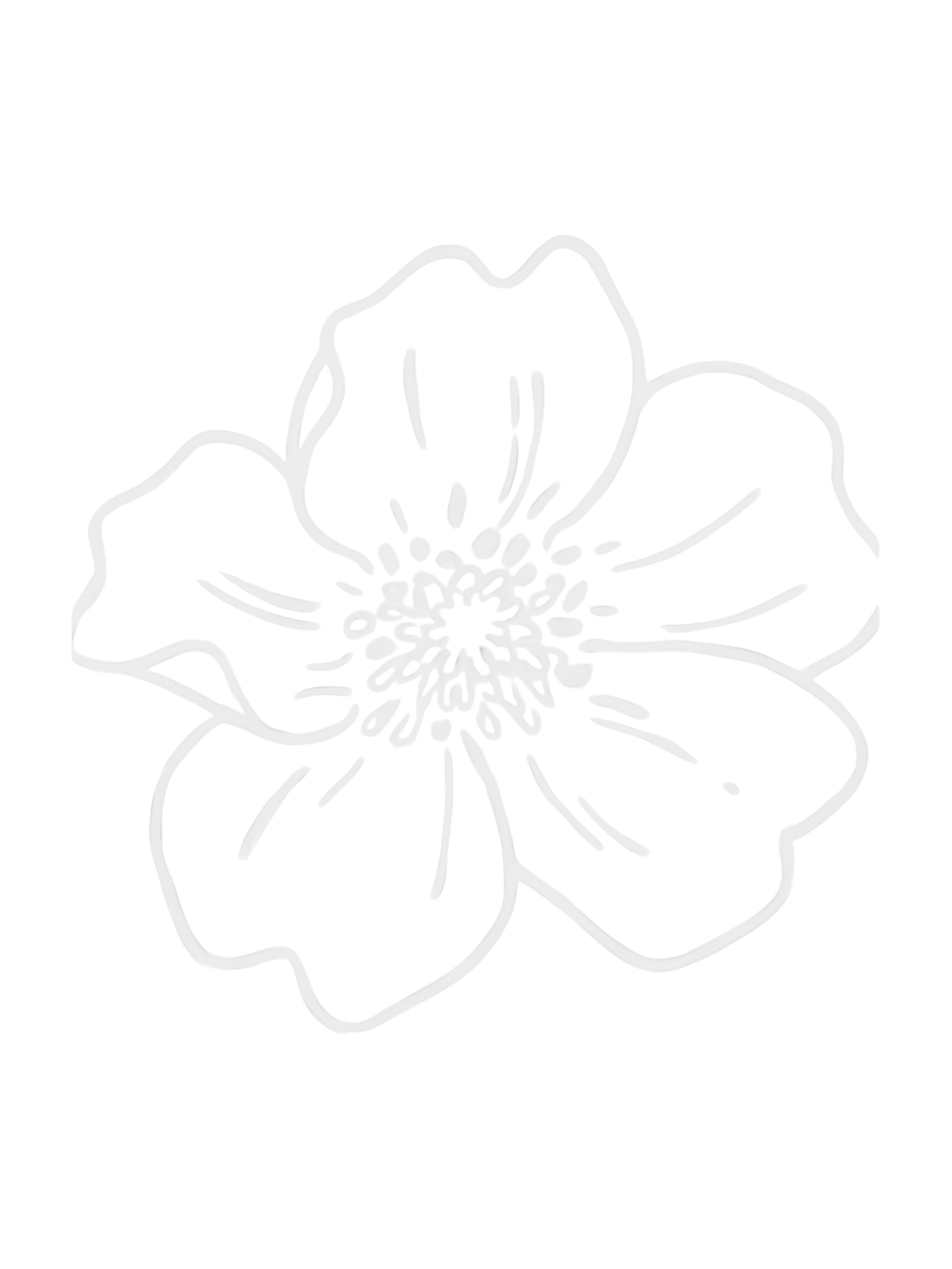 Outline of a flower with petals and a detailed center against a black background.