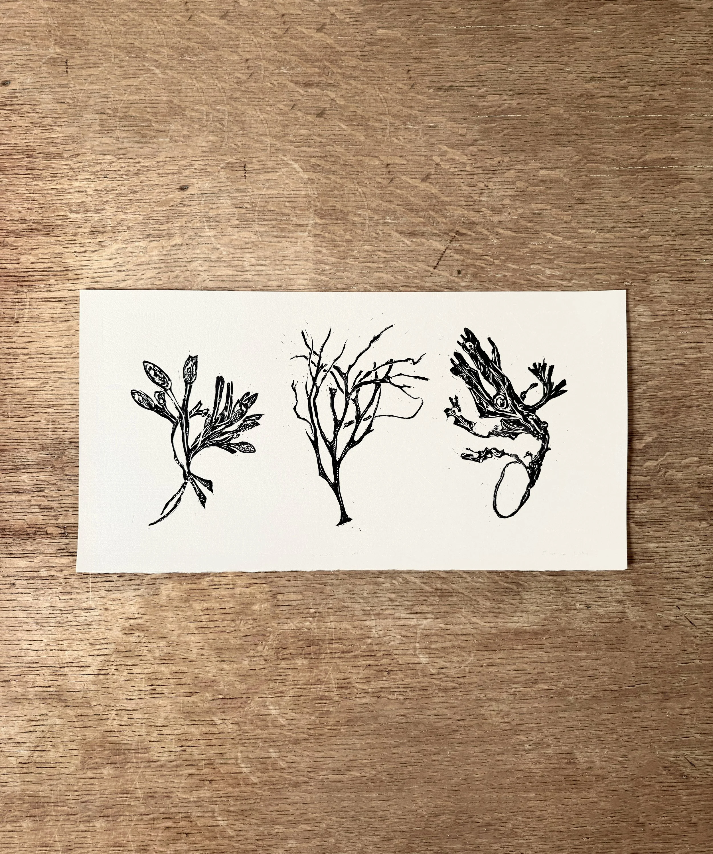 Seaweed Trio