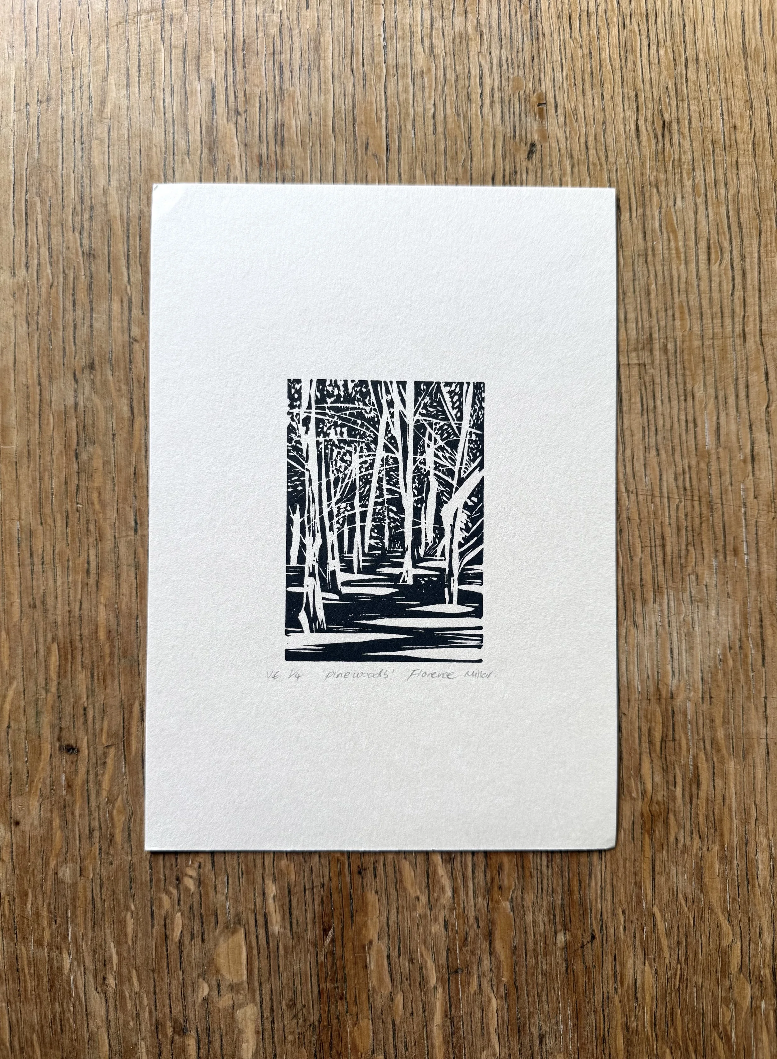 Pinewoods