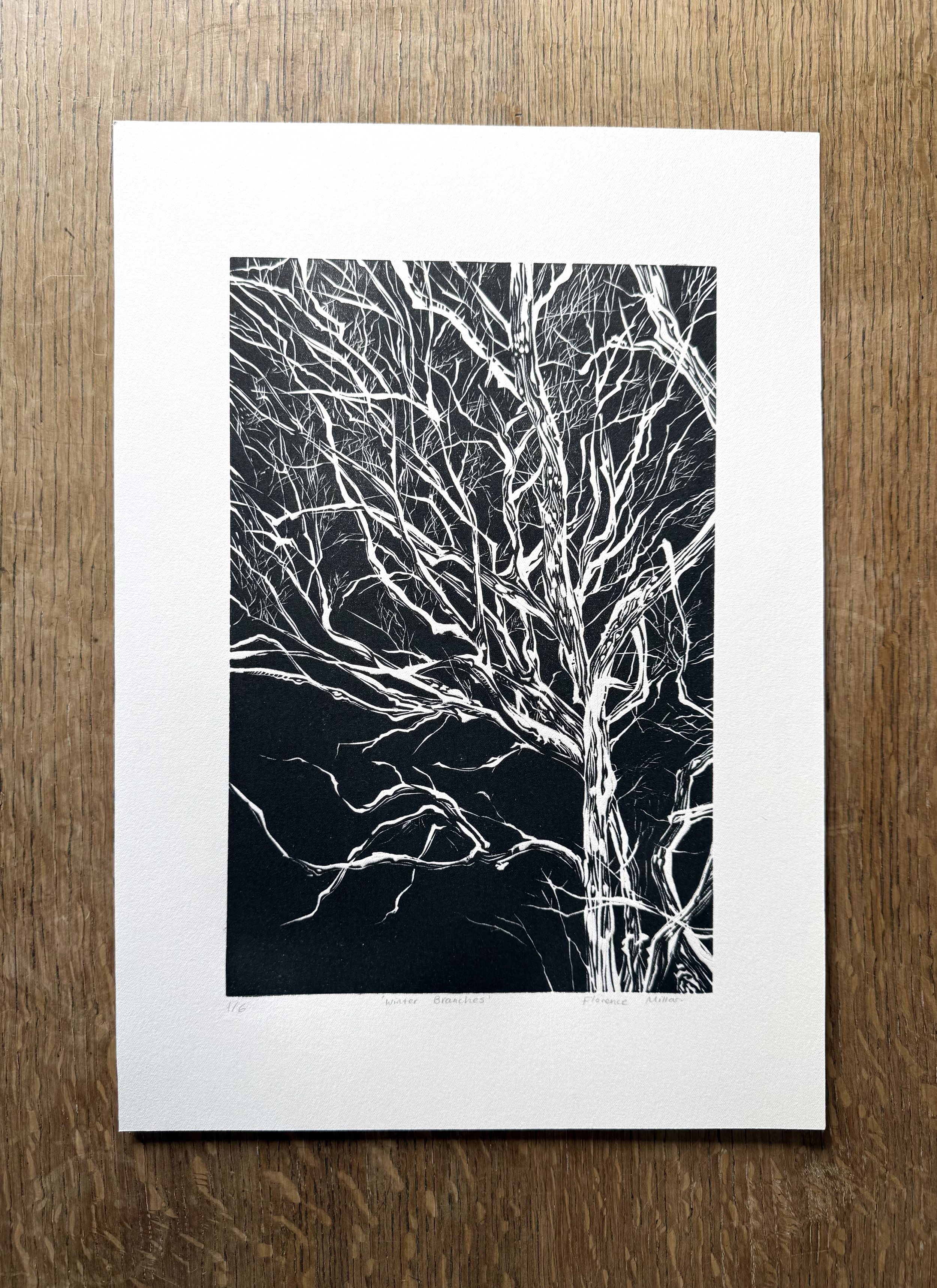 Winter Branches