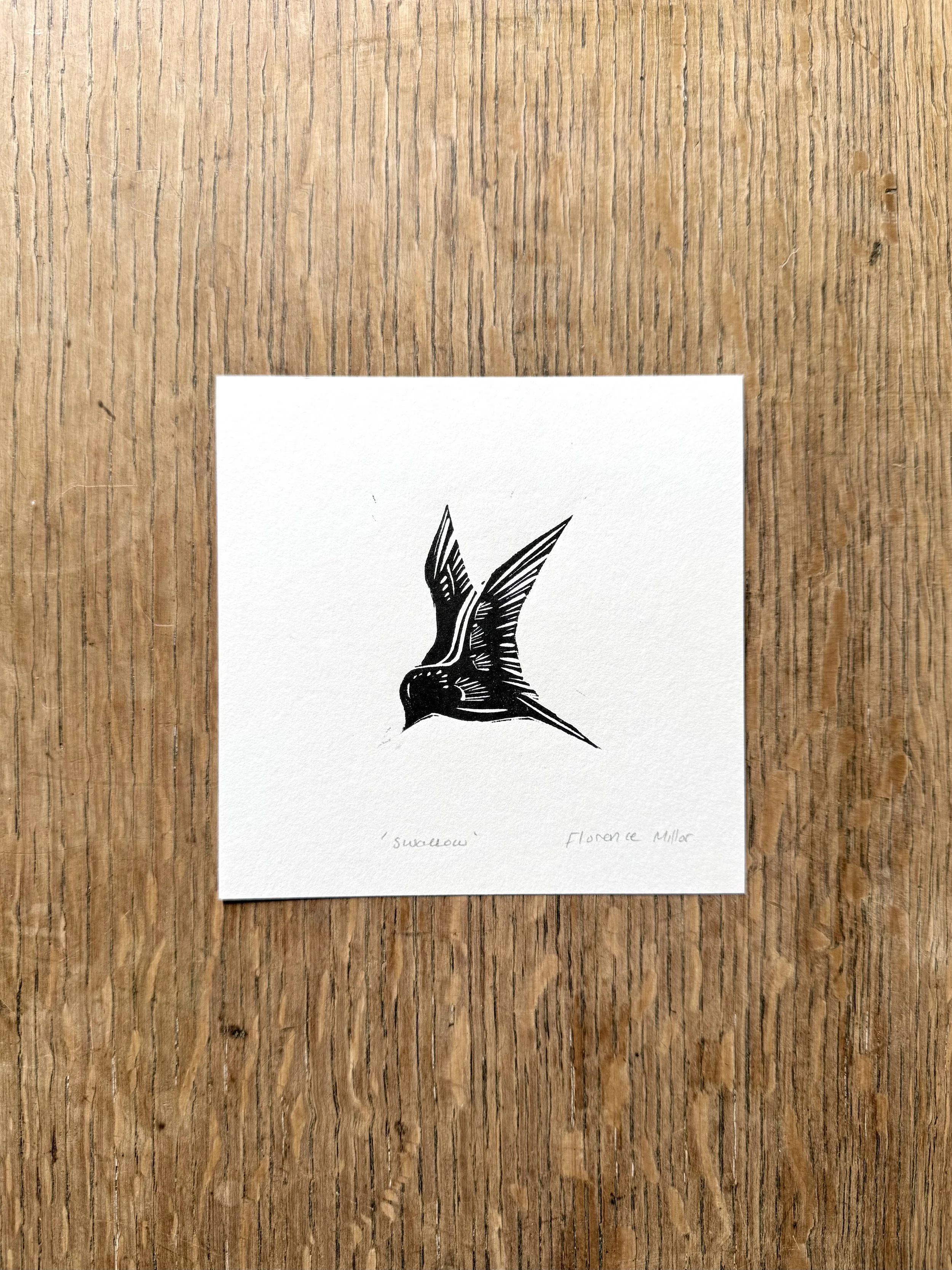 Swallow