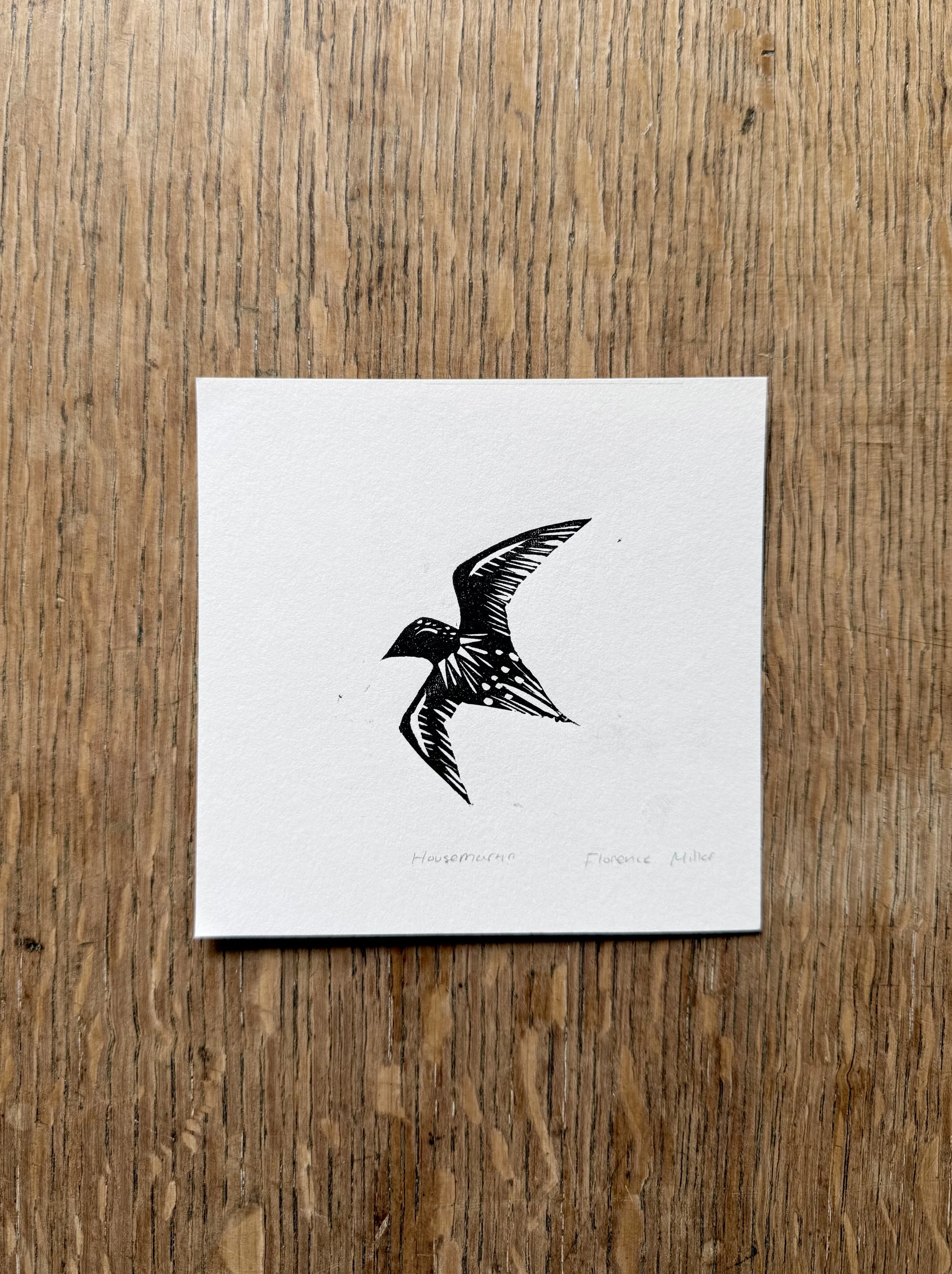 House Martin