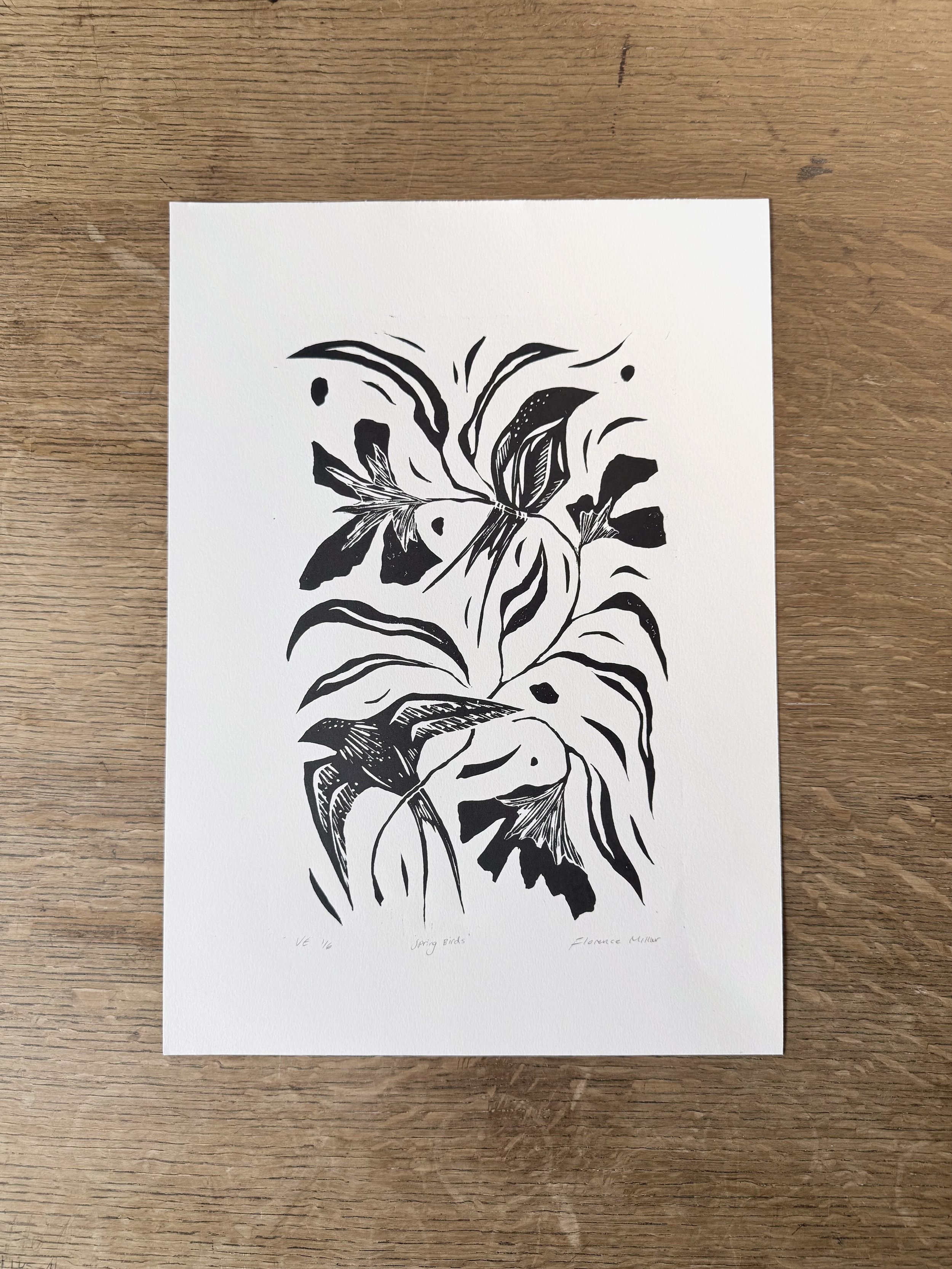 Spring Birds
