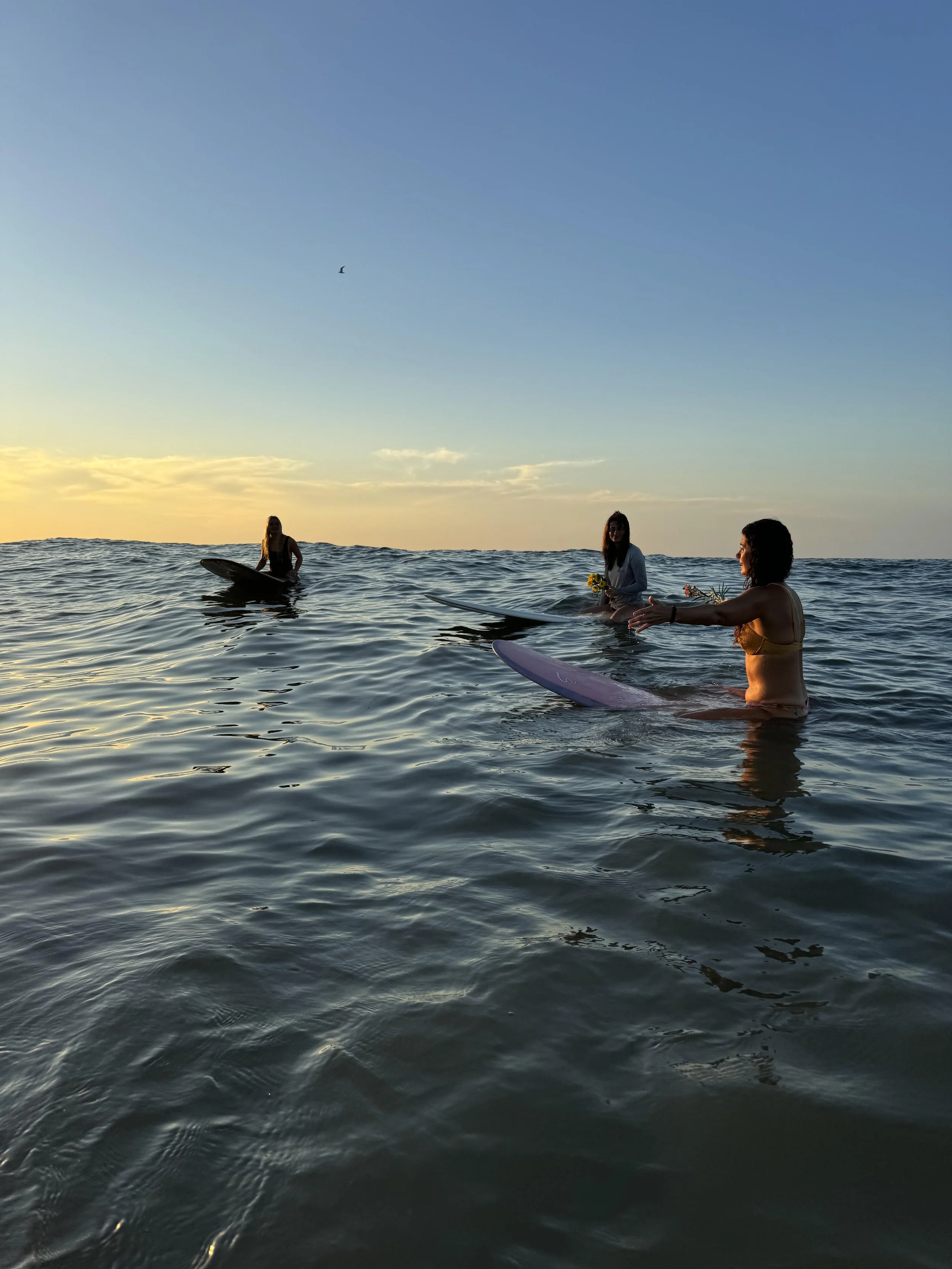 Three women sitting on surfboards in the ocean during sunset, engaging in conversation, with one holding flowers, and a bird flying in the sky.