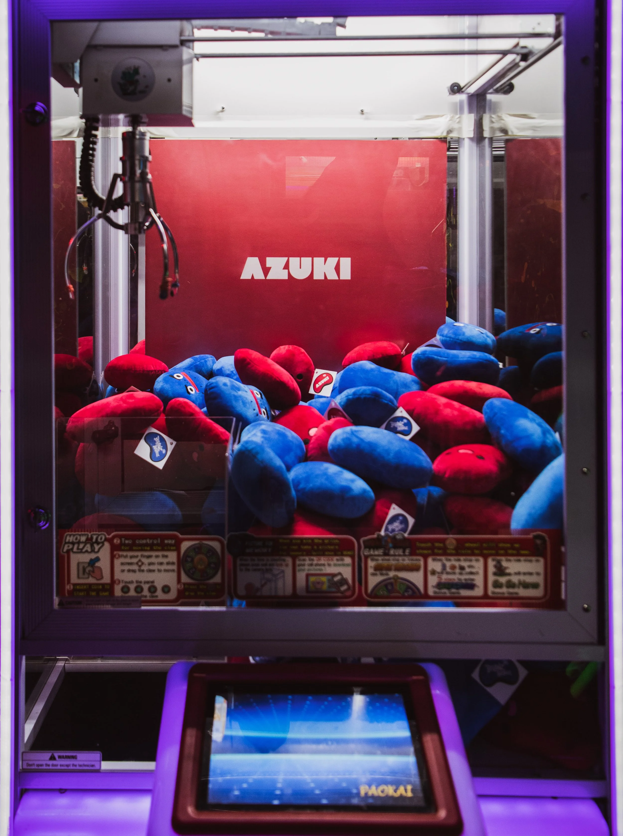 AZUKIJ22- 6.JPG