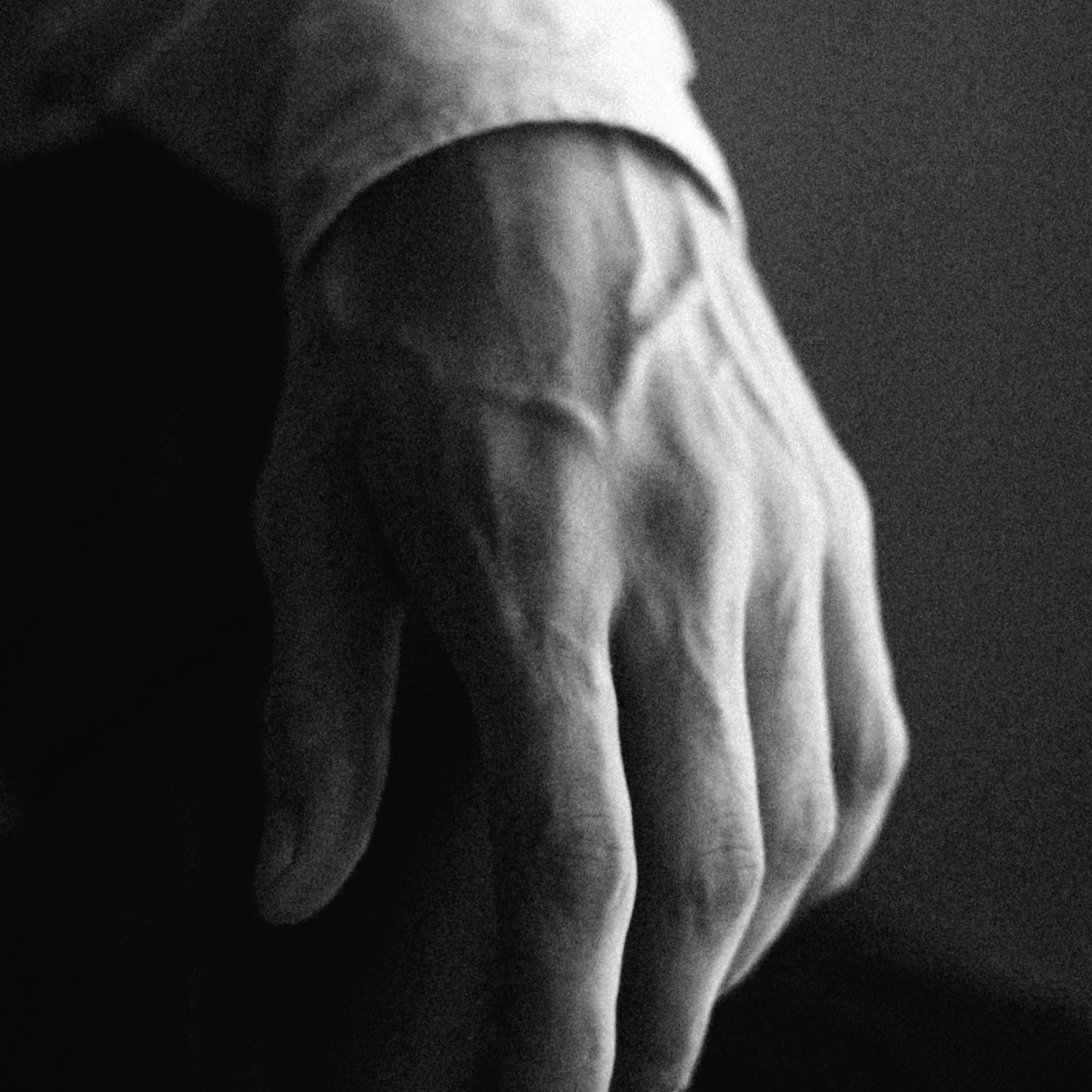 pexels-elijahsad-8984574.jpg