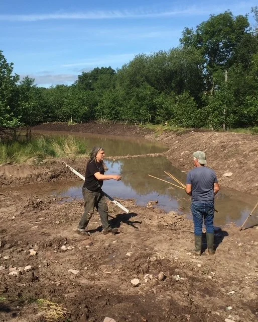 Lake restoration