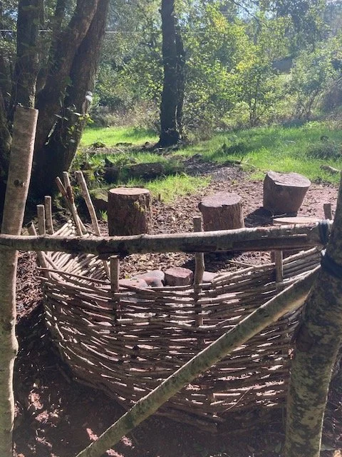 woven willow structures