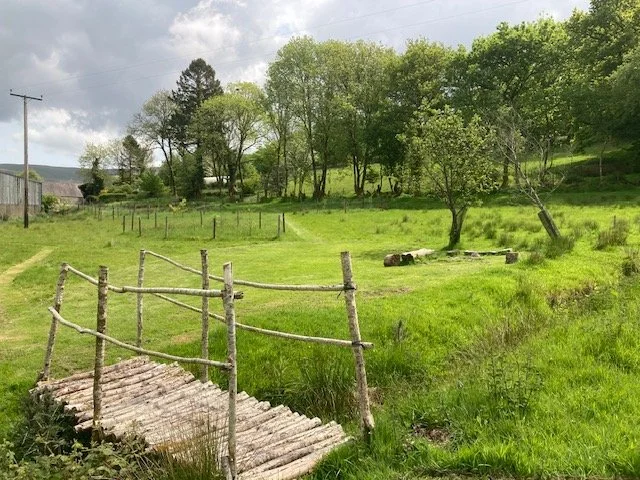 A wooden bridge at the edge of the glade field