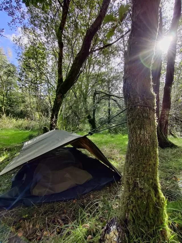 A ground level bivvie with tarp strung between trees