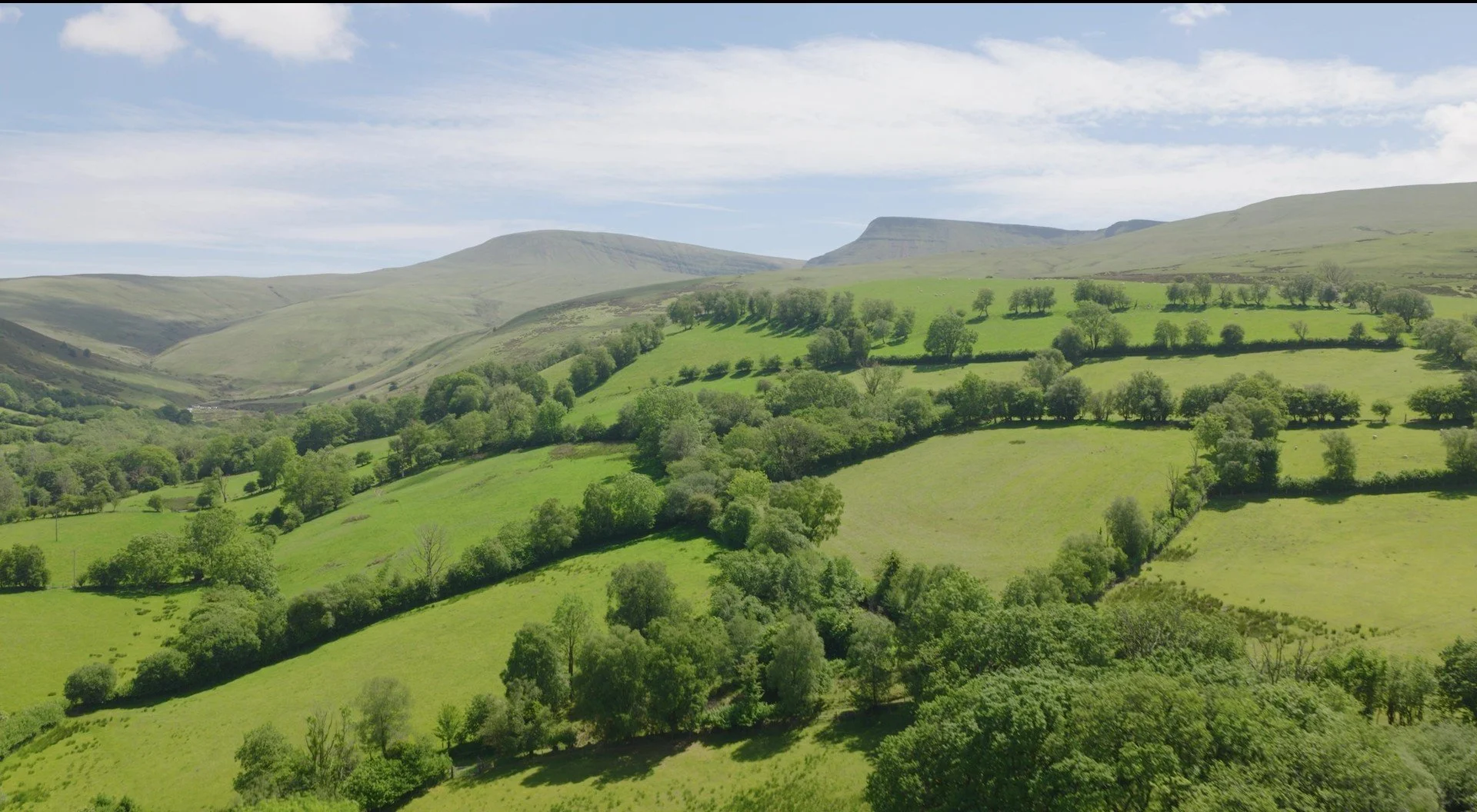 Y Mynydd Du - The Black Mountain.