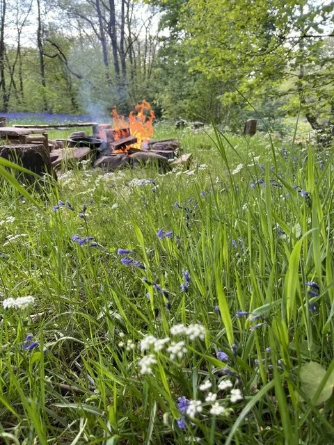 A firepit on the glade field