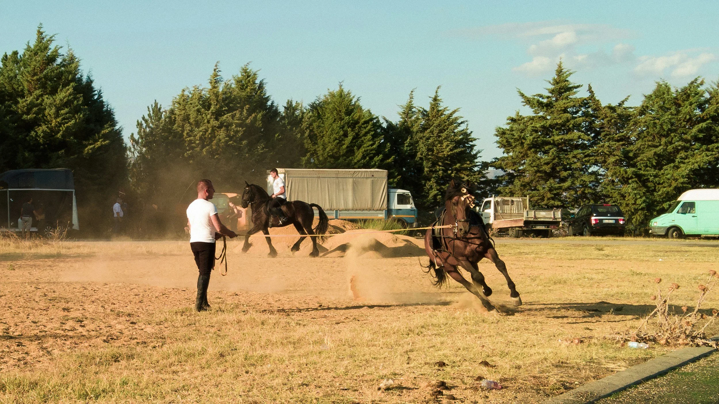 Generic horse with trainer.