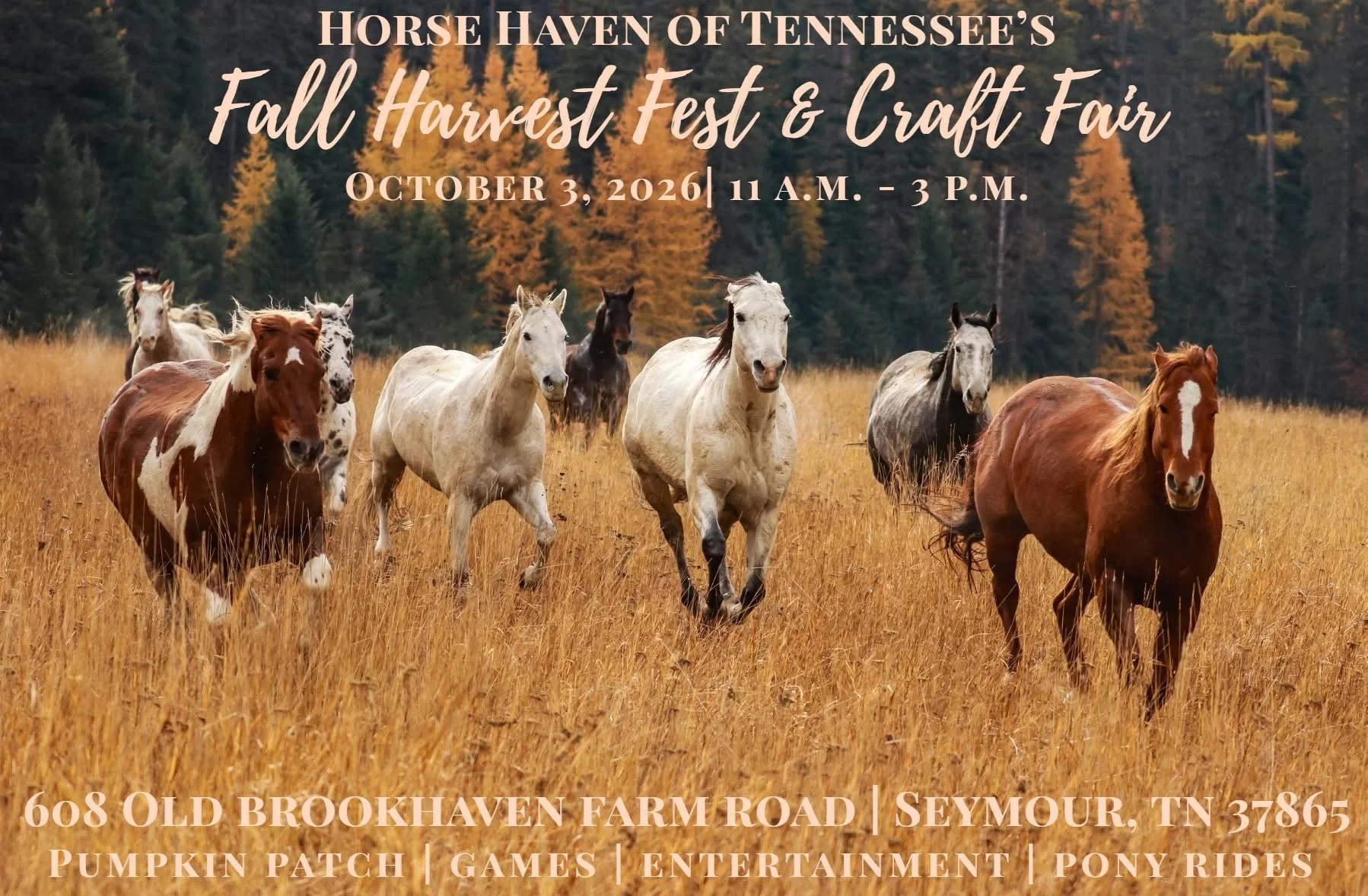 Fall Harvest Festival graphic.