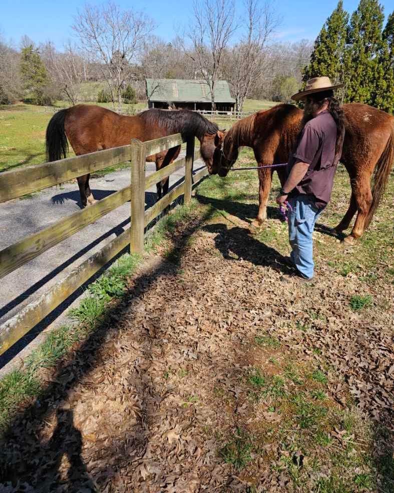 Man at fence with horse