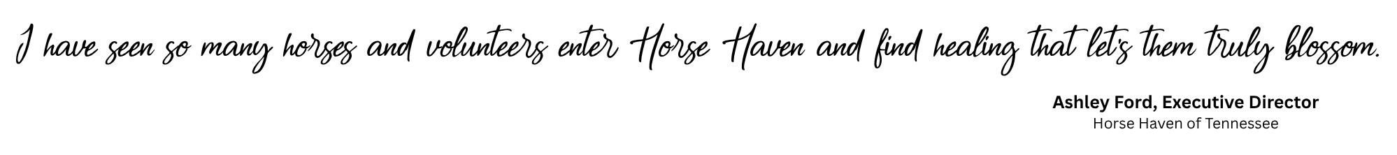 Quote by Ashley Ford about horses and volunteers at Horse Haven of Tennessee