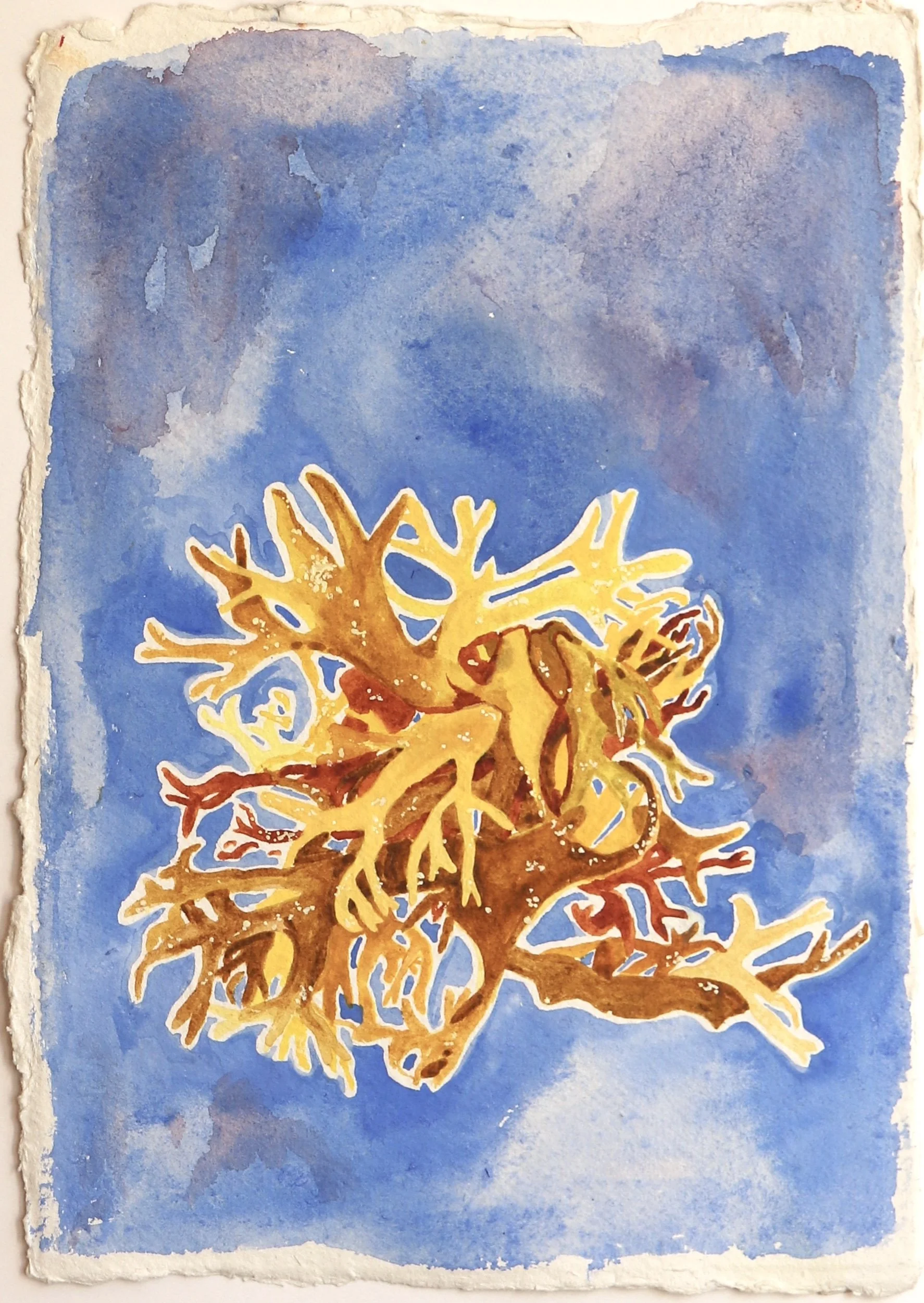 Cluster, 2025, 
Watercolours on recycled handmade Khadi paper from India, 21 x 29.7cm,
Contact for price