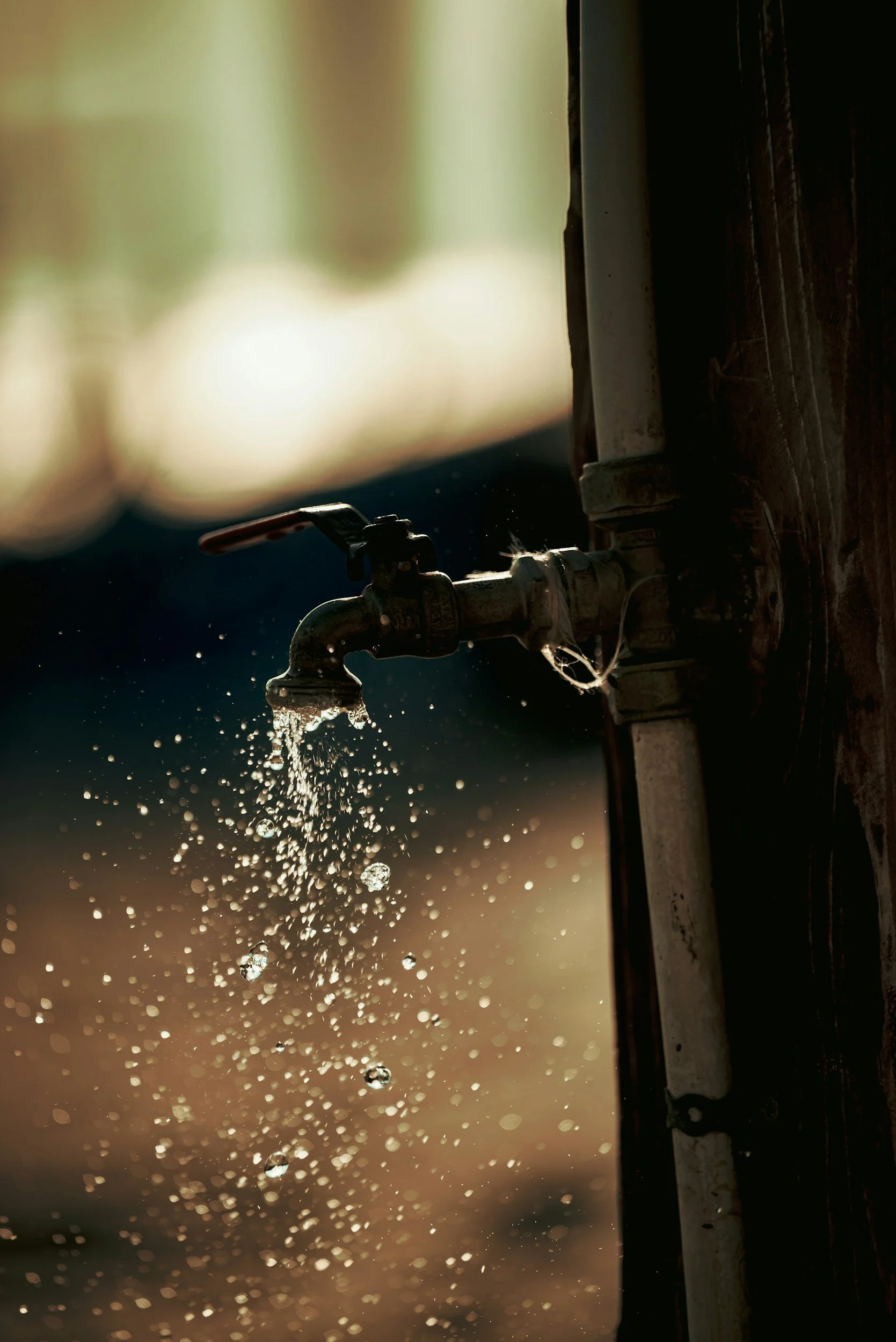 Close-up of water dripping from a faucet, with water droplets suspended in the air, illuminated with warm sunlight.