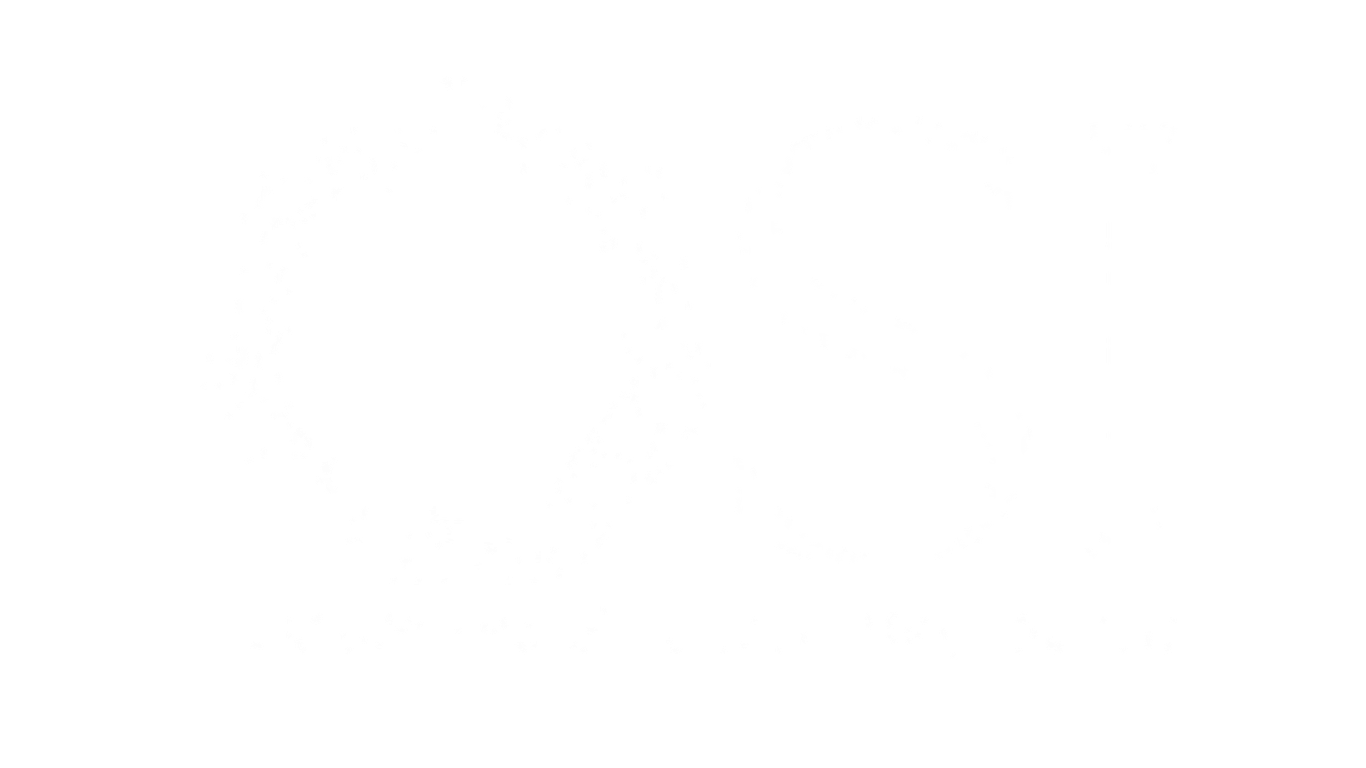 Optimized Solution Integrations