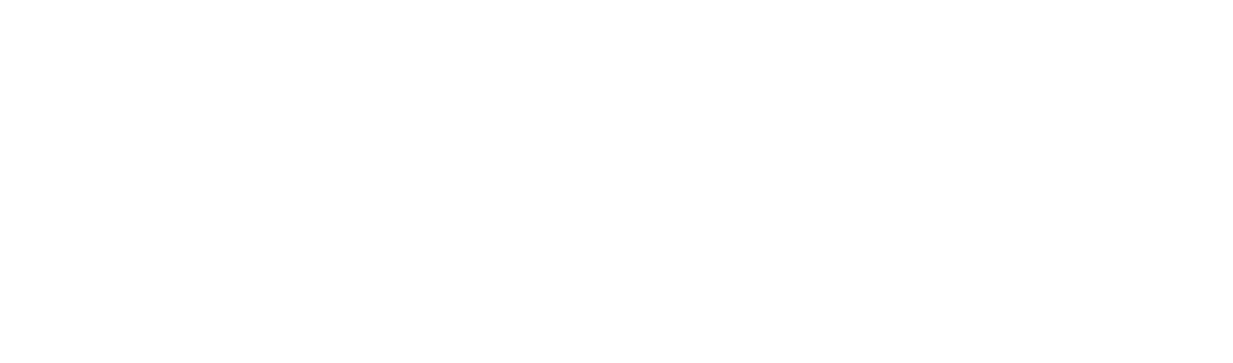 Bold black text on a white background spelling out the word BRIDGES.