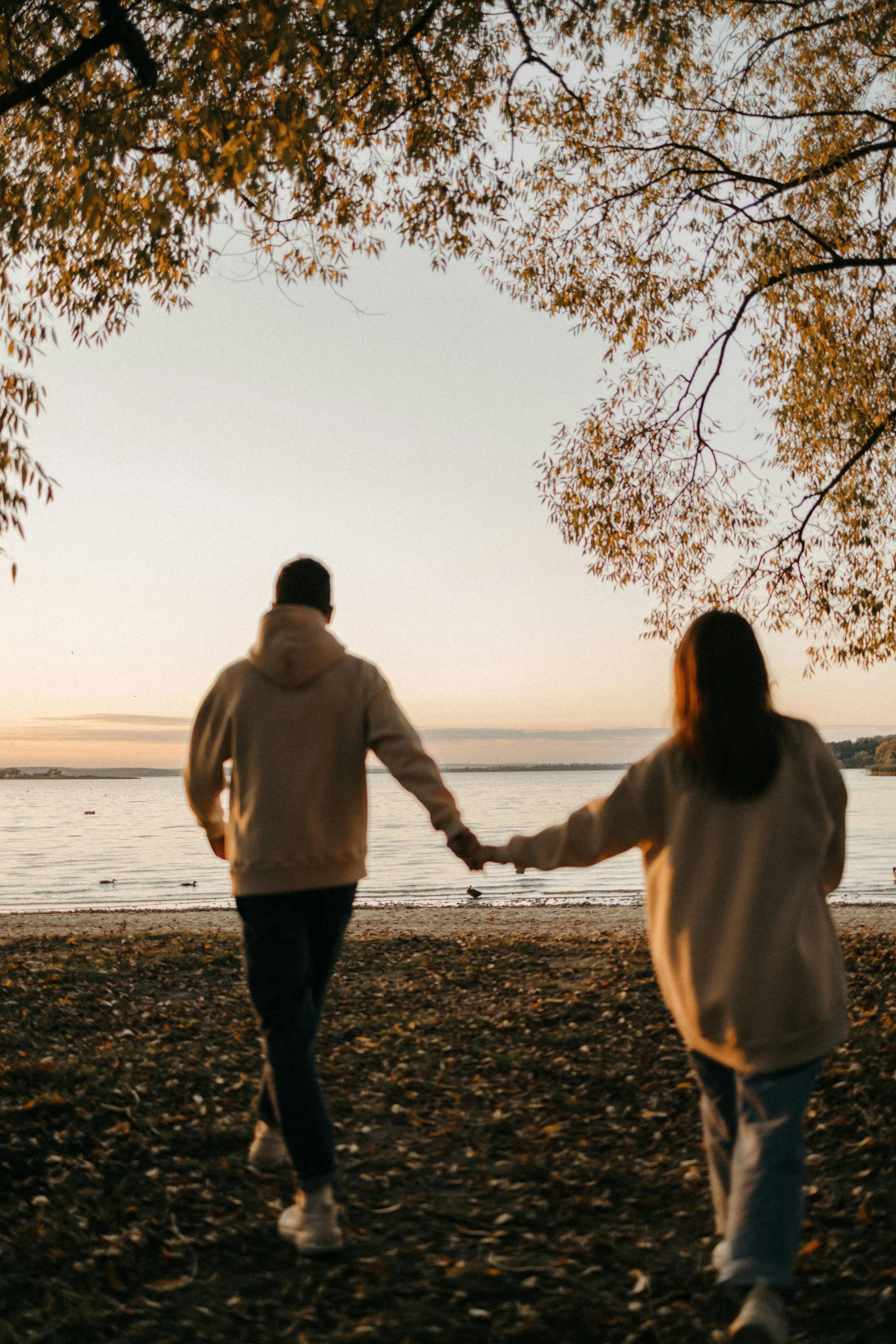 Two people holding hands walking along a shore at sunset, with trees above and ducks in the water.