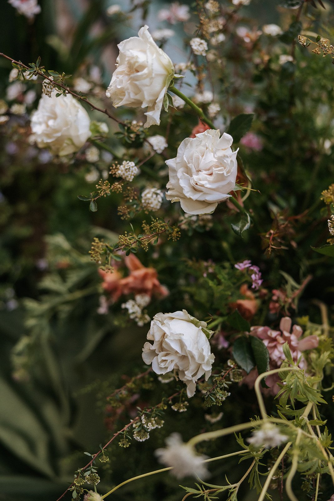 White roses surrounded by various small flowers and greenery.