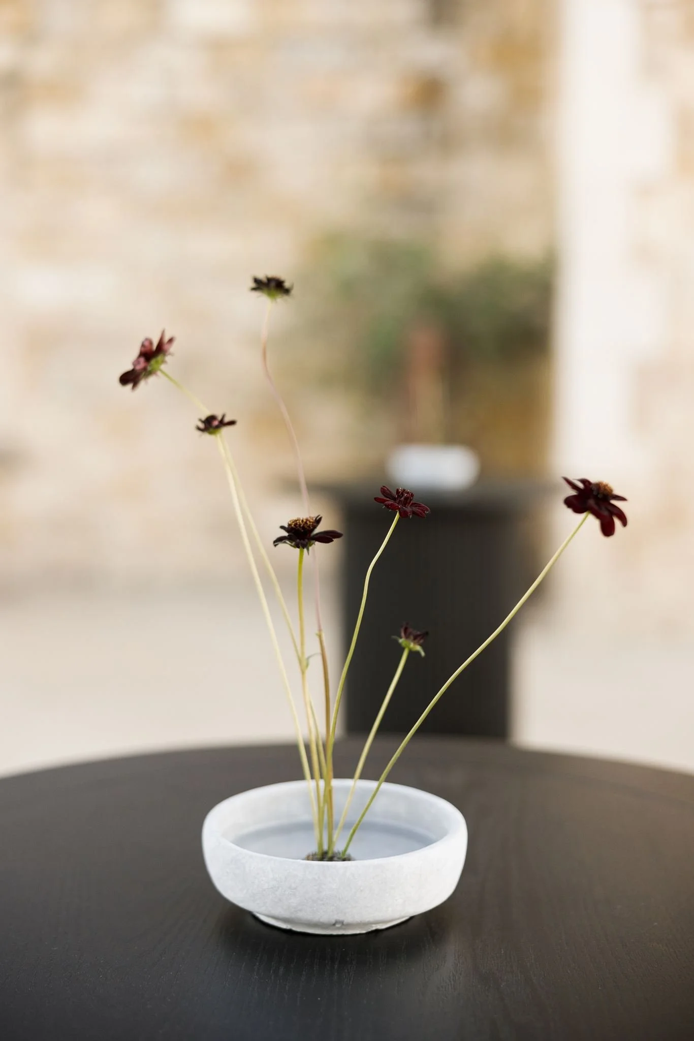 Dried dark red flowers with long stems in a white ceramic bowl on a black table, blurred background.