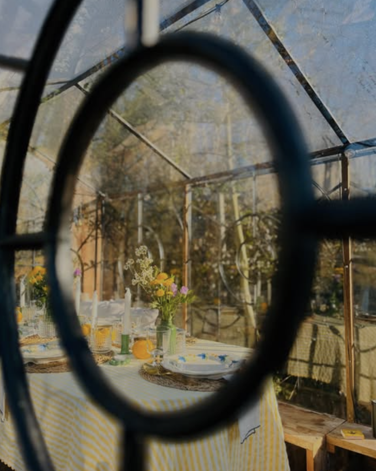 View through the round iron window of La Roulotte, onto a table set among the trees.