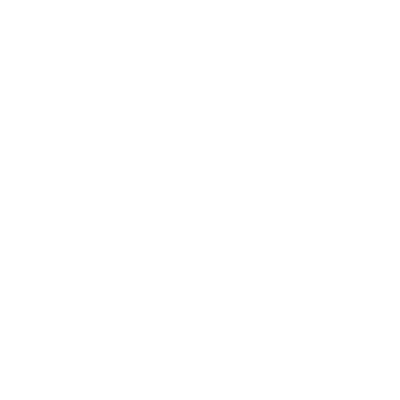 Outline illustration of a sneaker with a wave pattern on the side and a lacing system.