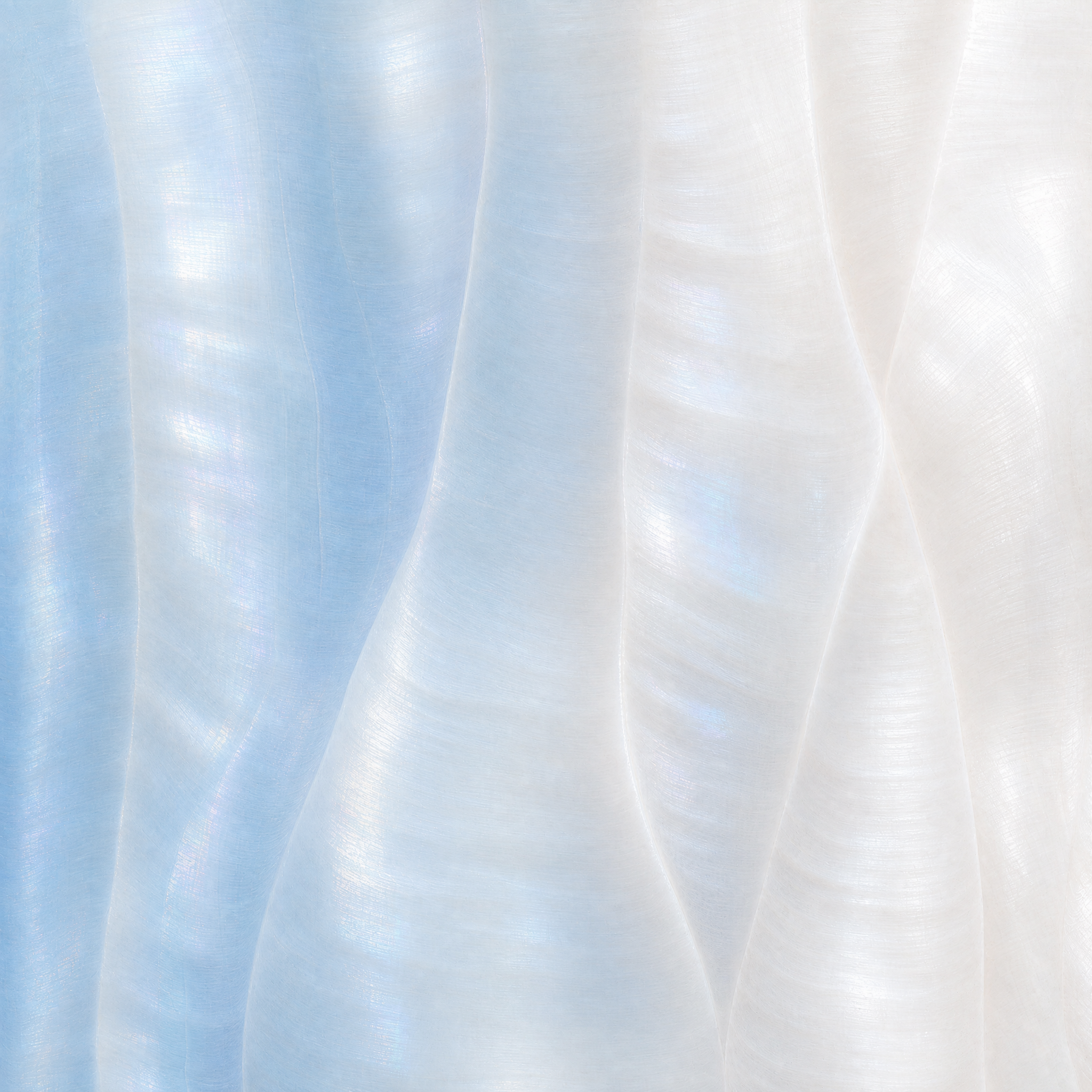 Motion