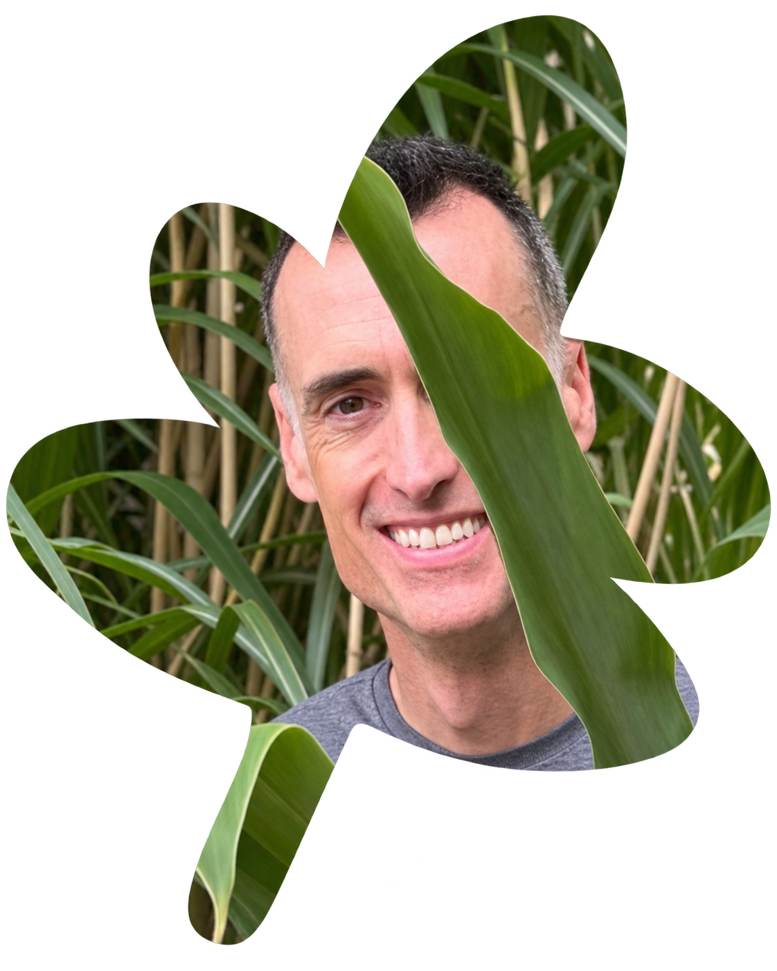 A smiling man with short dark hair, wearing a gray shirt, partially obscured by large green leaves, standing in a field of tall green plants.