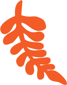 Orange graphic of a leafless fern or tree branch