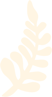 Black background with a white illustration of a fern leaf.