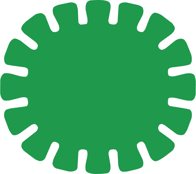 Green circular object with evenly spaced cutouts around the edge.