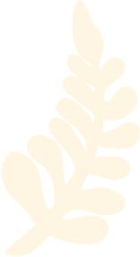 Silhouette of a fern leaf in cream color on a black background