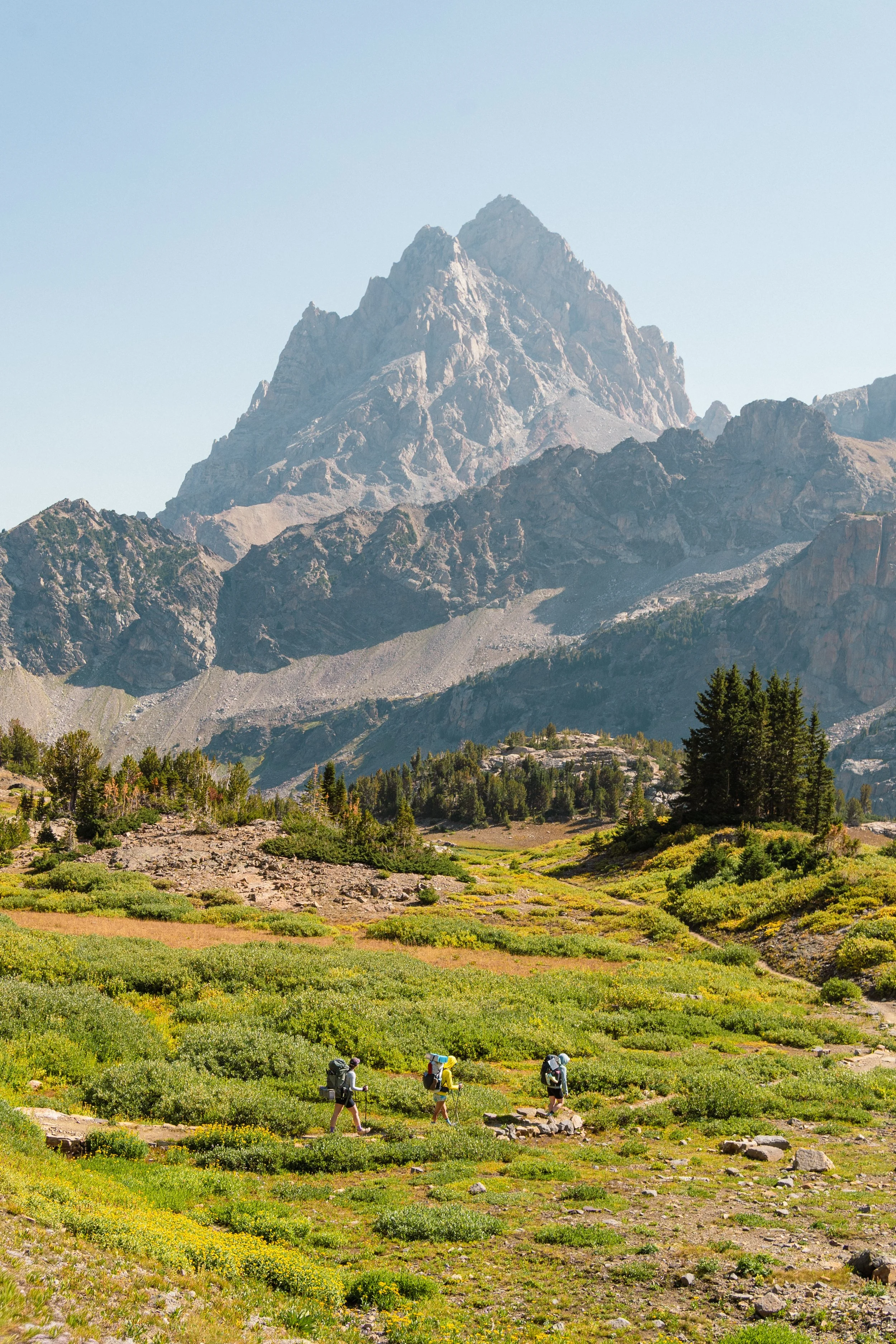 Hikers walking through a lush mountainous valley with rocky peaks in the background and a clear blue sky on the Teton Crest Trail.