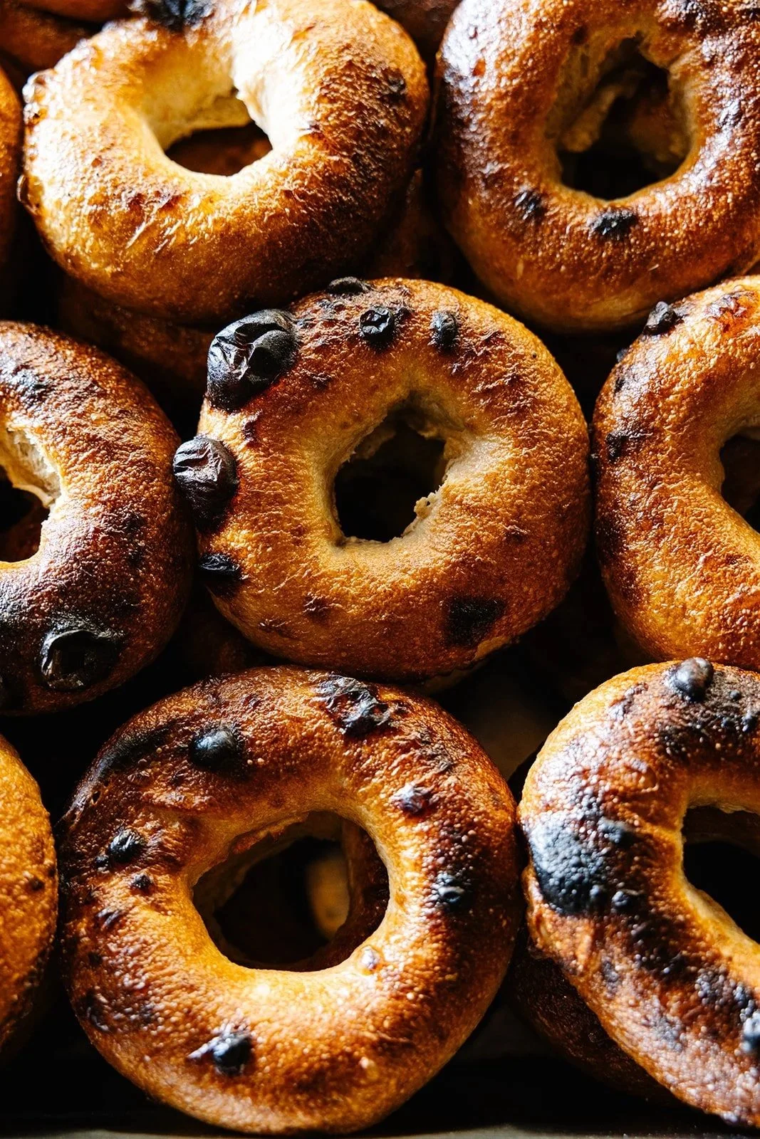 Close-up of our wood-fired, heirloom-grain, long-fermented bagels, known for how dark, airy, and sometimes blistered they are.