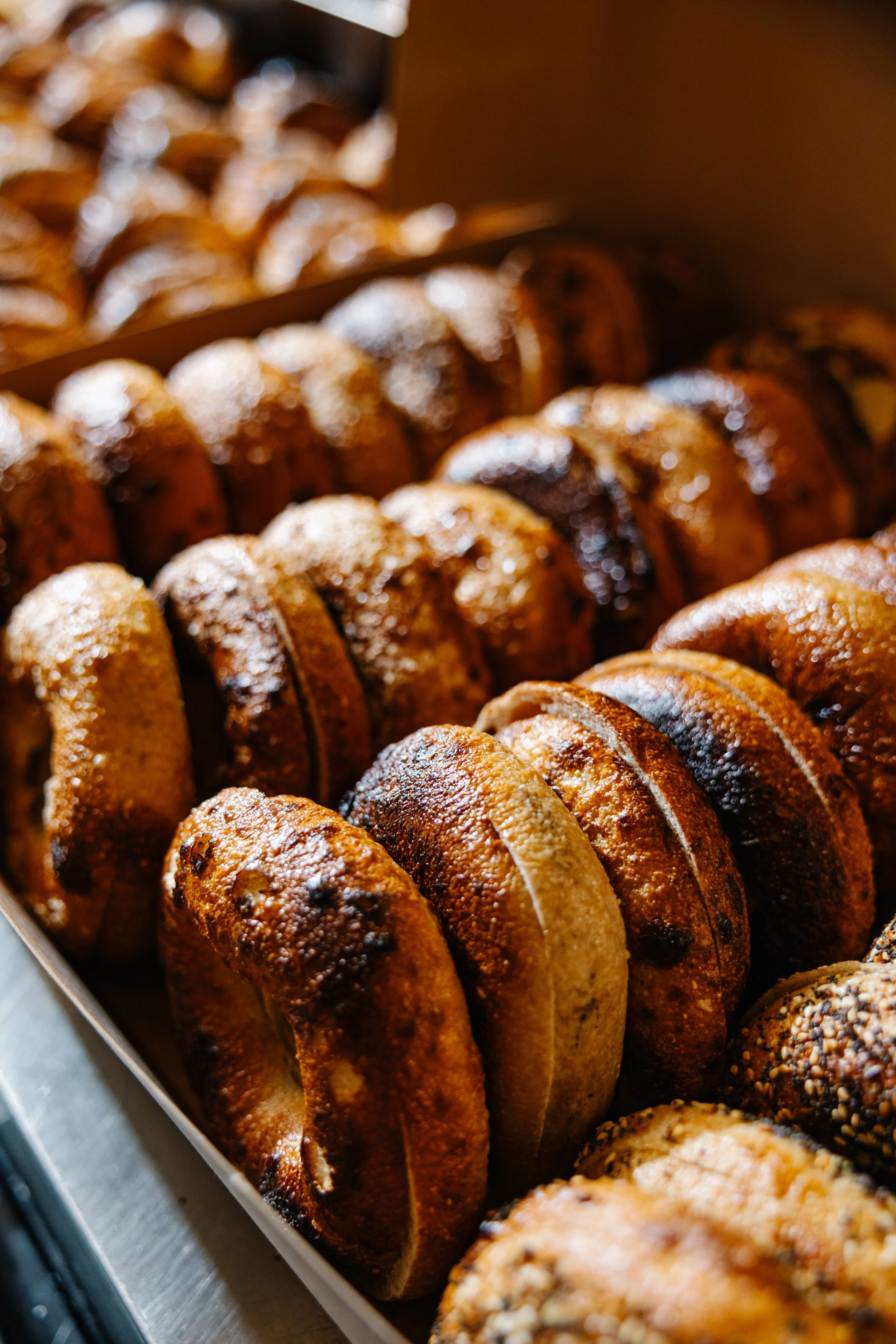 Close-up of a tray filled with freshly baked bagels.