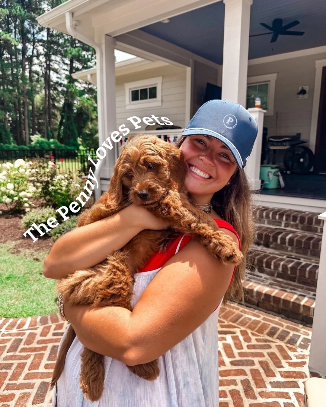 🐾 Life&rsquo;s better with your best friend by your side. At The Penny, pets are always welcome with amenities designed just for them, including a full dog wash station and an on-site dog run.&nbsp;
&nbsp;
Because your best friend deserves the luxur