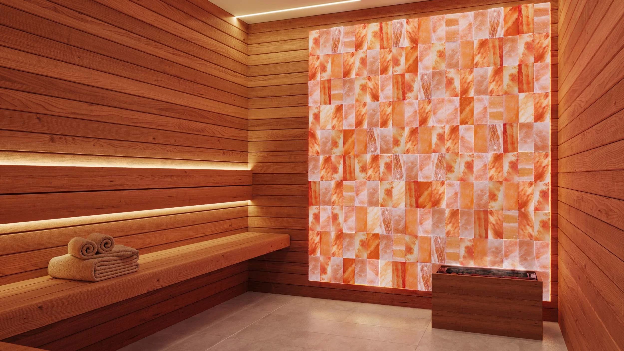 TPC_Sauna_2T.jpg