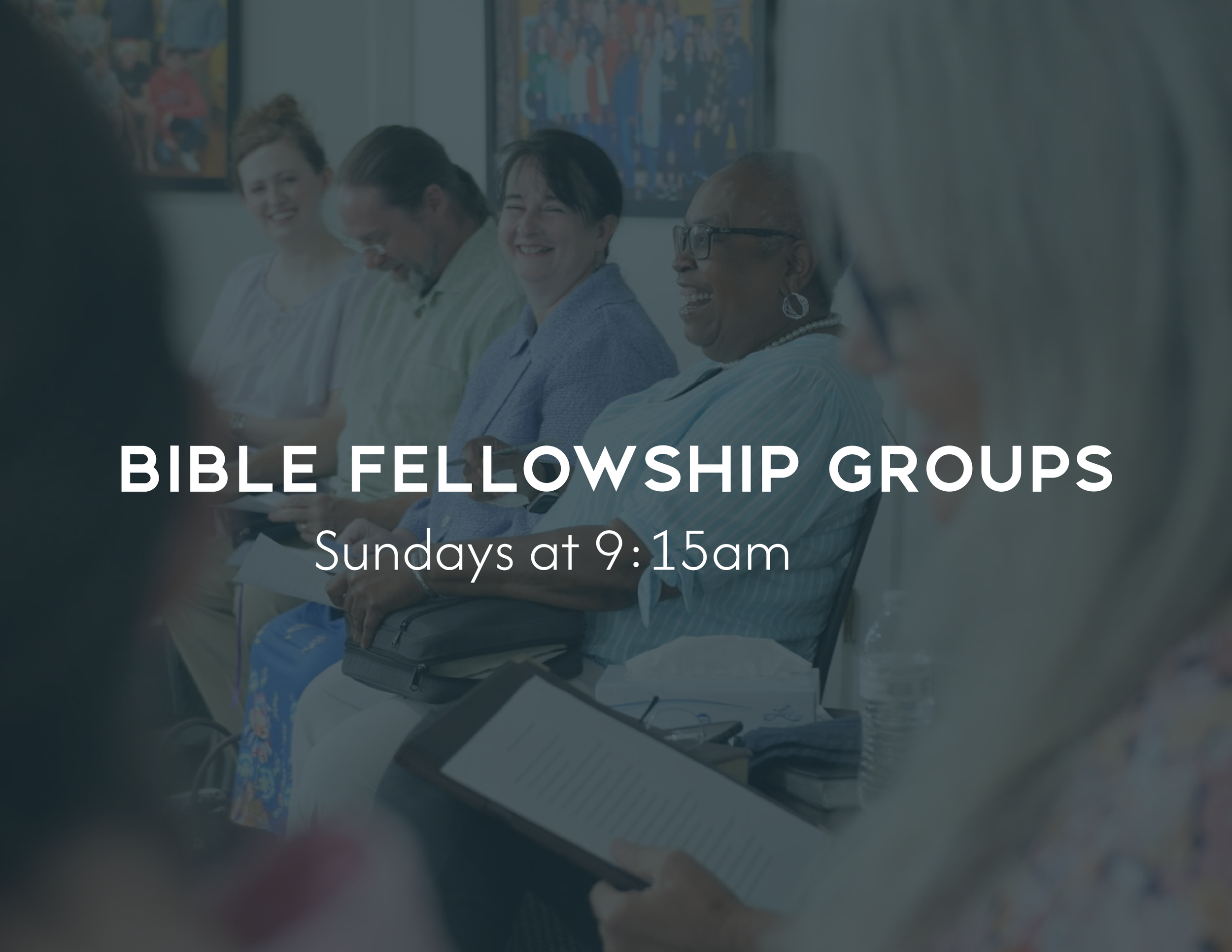 Bible Fellowship Groups