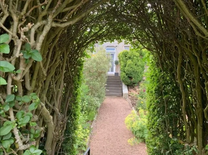 A garden pathway surrounded by lush green bushes and trees, forming a natural archway leading to steps and a house entrance in the background.