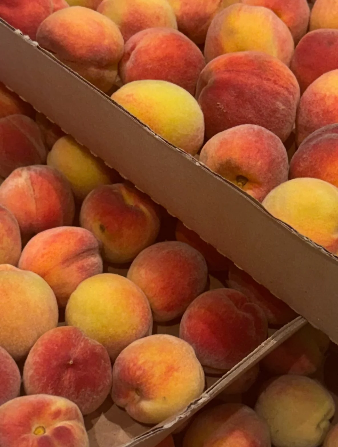 Color of the day is peachy peach.  Our peach trees have produced peaches for the town!
#fruitfulsummer #peachful #berkshireliving #designerdeb