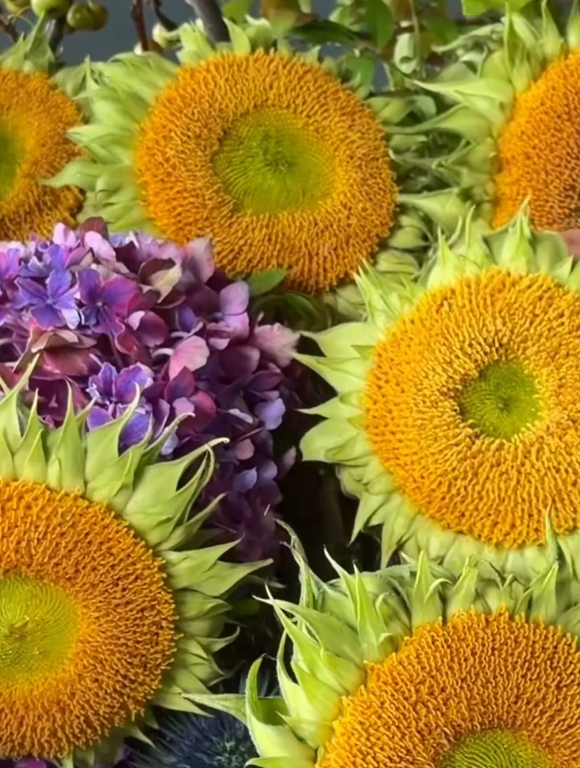 Colors of the day are sunflower and purple hydrangea.  Love this color combo for my photo shoot.
#flowersoftheday #colorcombo #interiordecor #designerdeb #finelines