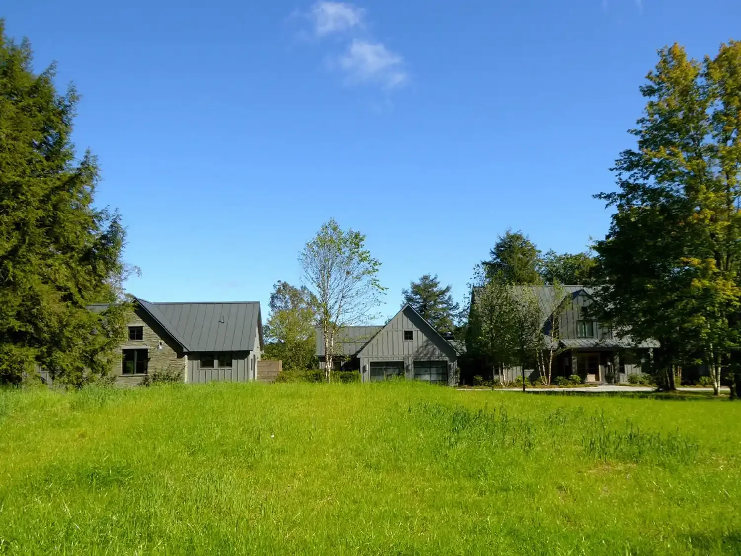 A spacious backyard with green grass, surrounded by trees and modern houses with dark gray roofs, under a clear blue sky.