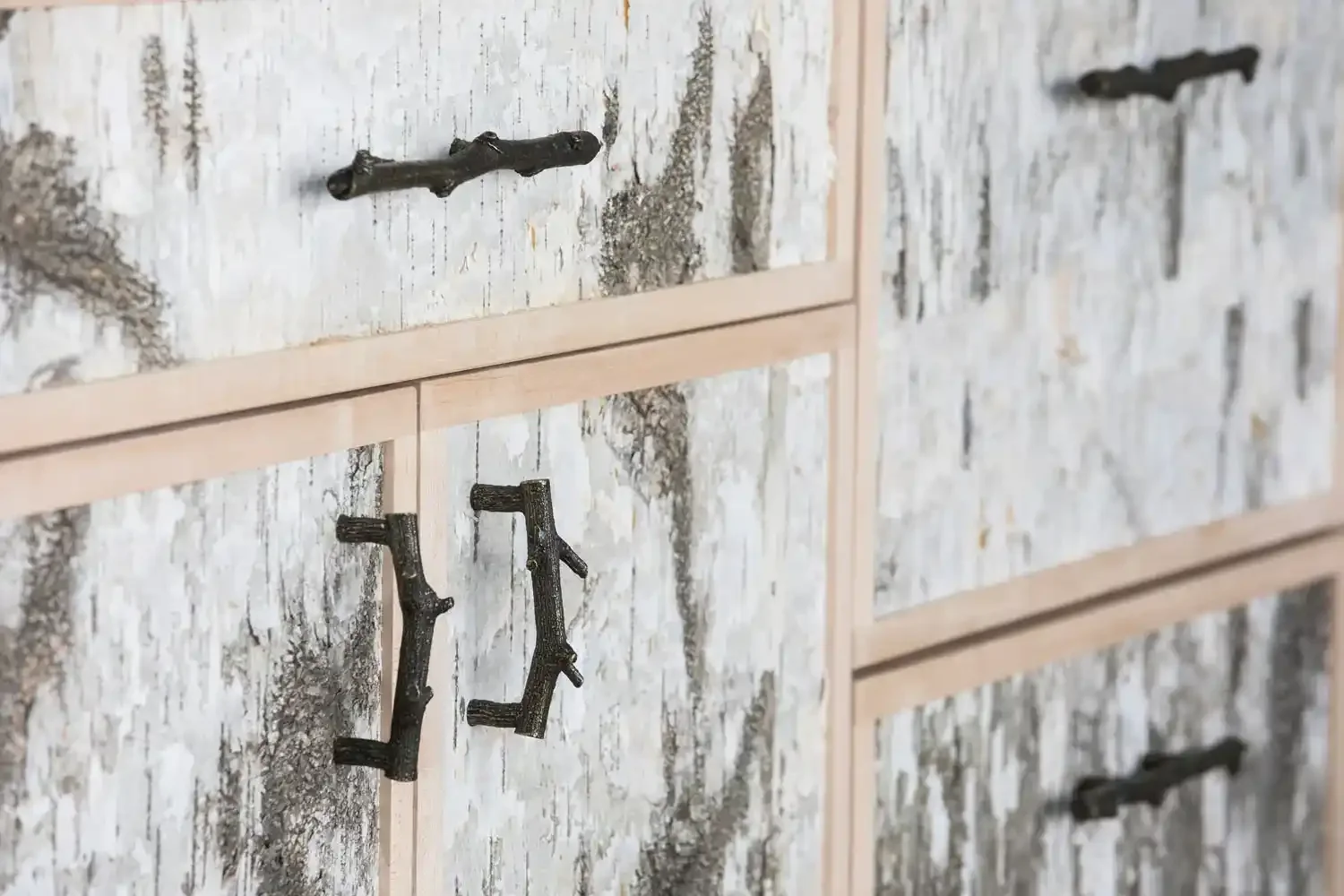 Close-up of a textured wall with small black sticks and patches of dirt or moss, separated by light-colored wooden dividers.