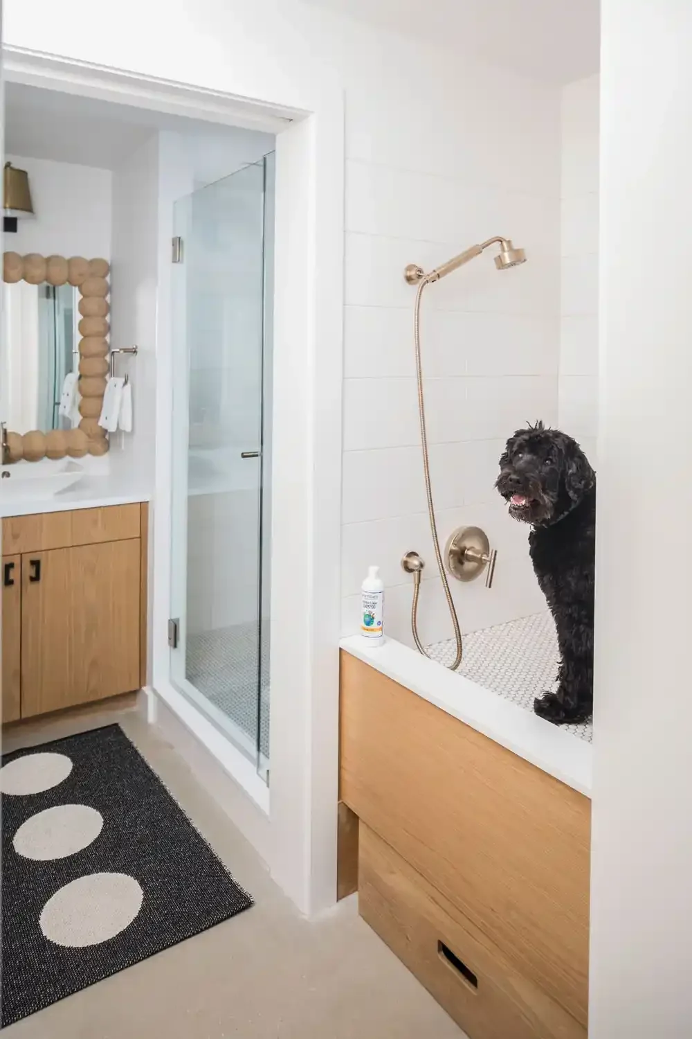 A black dog sitting in a bathroom shower area with white tiled walls, a gold showerhead, and a bottle of shampoo on a ledge. There is a wooden cabinet and a black and white rug outside the shower.