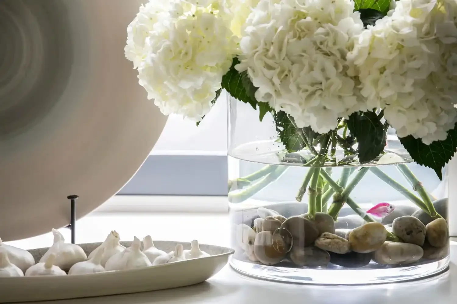 Close-up of a glass vase with white hydrangea flowers and dark green leaves, with a small pink fish swimming among rocks at the base. To the left, part of a large white bowl with garlic cloves on a tray.